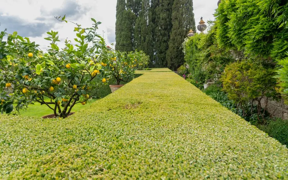 Greens & Outdoors at EXPERION VIRSA, Manawala, Amritsar