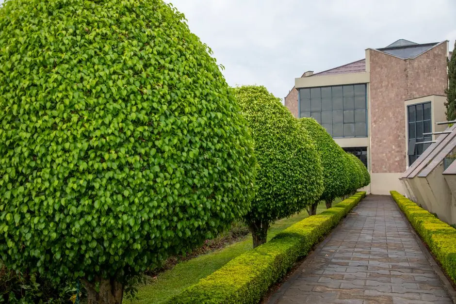 Greens & Outdoors at EXPERION HUB@108 (SCO PLOTS), Sector 108, Gurgaon