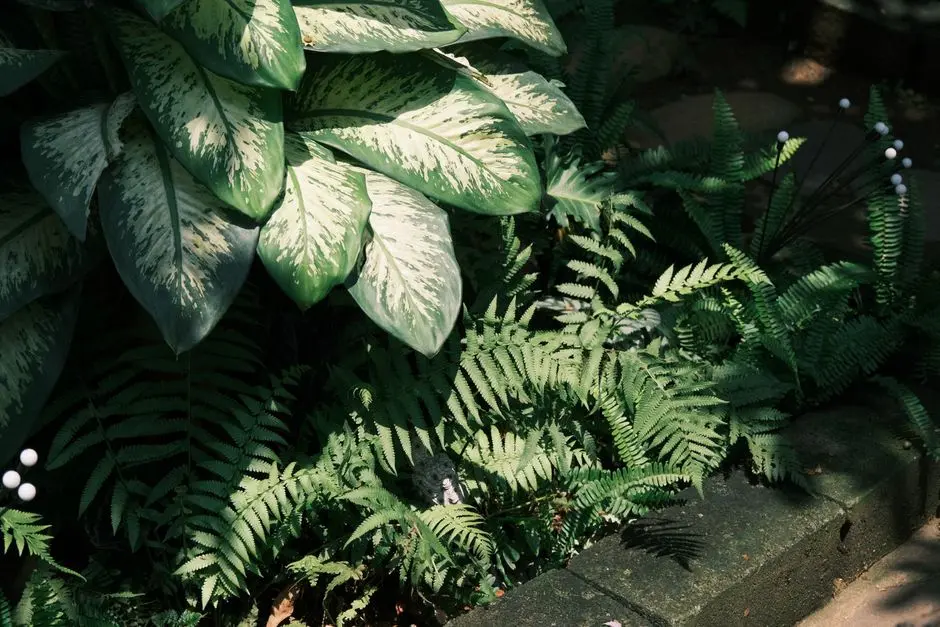 Greens & Outdoors at EXPERION CASCADES, Sector 88A, Gurgaon