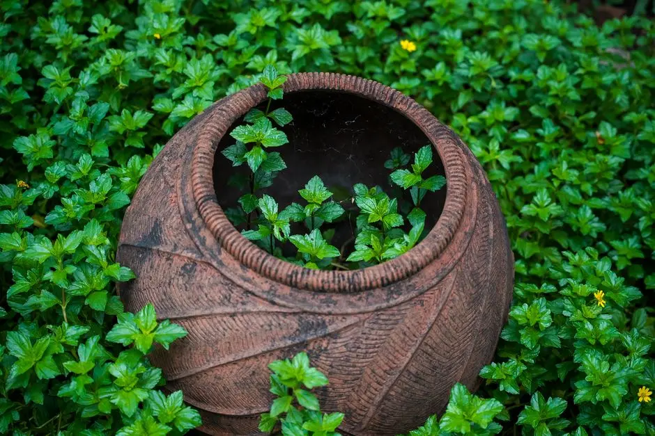 Greens & Outdoors at EXPERION SECTOR 53, Gurgaon