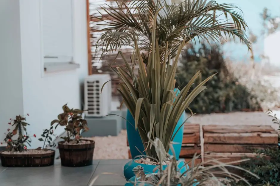 Greens & Outdoors at EXPERION WAVE CITY, Wave City Township, Ghaziabad